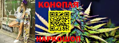 Альфа ПВП Лесосибирск