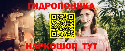 Альфа ПВП Лесосибирск