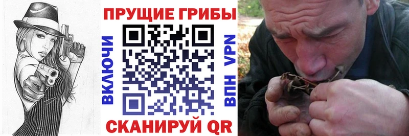 Галлюциногенные грибы мухоморы  Свободный 