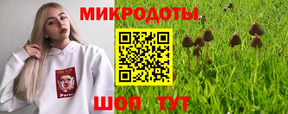 Свободный  Псилоцибиновые грибы Magic Shrooms  Вход с VPN 